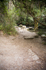 Landscape of a river