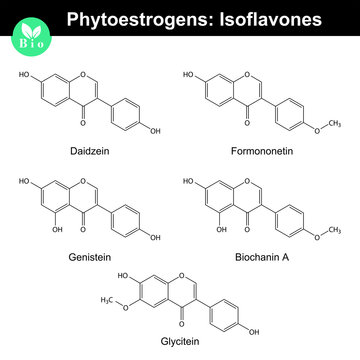 Phytoestrogens Of Isoflavone Group