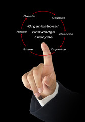 Organizational Knowledge Lifecycle;