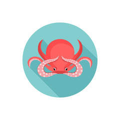 Octopus color flat icon