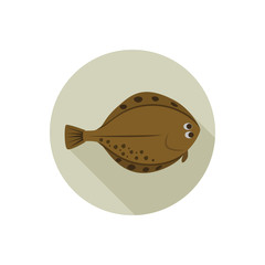 Flounder color flat icon