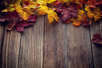 Naklejka na ściany i meble Autumn background with colored leaves on wooden board