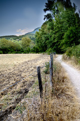 Fototapeta na wymiar Trail in the countryside