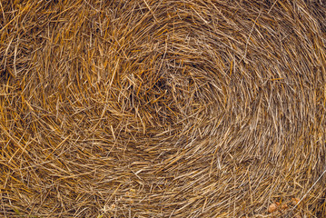 Осенний фон. Стог сена