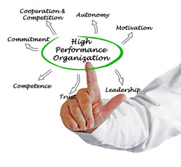 High Performance Organization