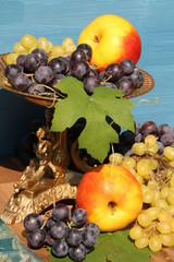 Bunte Früchte