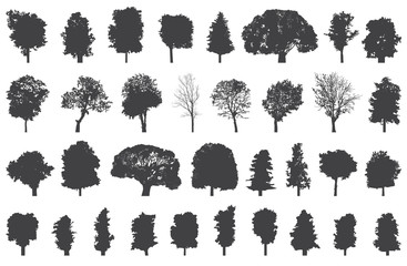 silhouettes of trees vector set - obrazy, fototapety, plakaty