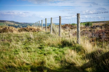 Moorland fence