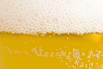 frisches Bier im Glas 