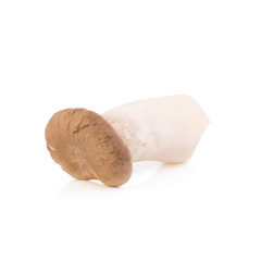King Oyster mushroom (Eringi) on white backgroud