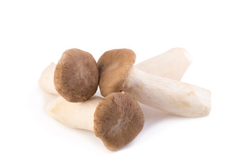 King Oyster mushroom (Eringi) on white backgroud