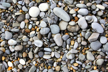 Sea stones background Nature Sea eco River
