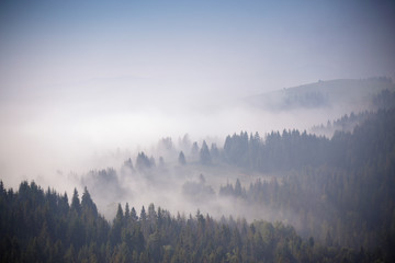 Autumn September foggy morning in mountains