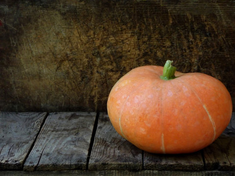 pumpkin on wooden background. Rustic photo