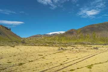 Icelandic colorful landscape on Iceland, summer time