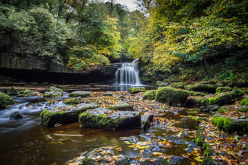West Burton waterfall with autumn leaves