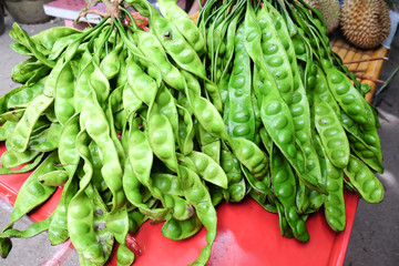 Sato local vegetables in southern Thailand.