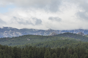 Obraz premium Black Hills Scenic Landscape