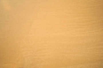 Sandy beach background