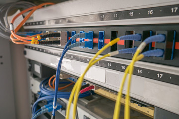 Fiber optic path cord and fiber optic cable in network room