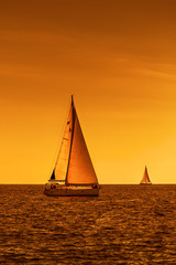 Regaty jachtów na morzu podczas zachodu słońca  - obrazy, fototapety, plakaty