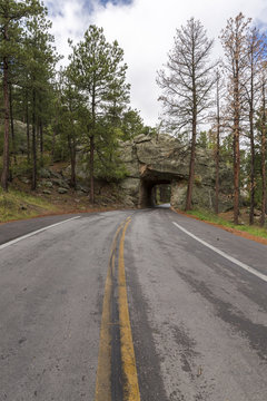 Road & Tunnel Scenic