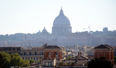 Fototapeta na wymiar Vatican in the distance