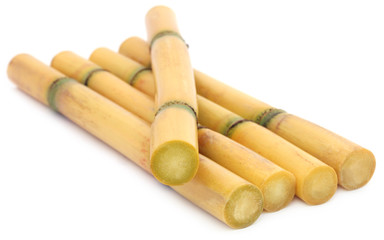 Pieces of sugarcane