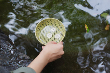 銭　銭洗弁天　銭洗い