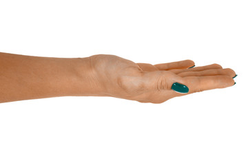 Fototapeta premium Palm up showing something, middle-aged woman's skin, cyan manicure. Isolated on white background