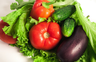 Fresh organic vegetables. Autumn vegetables. Harvesting. Ingredients for the salad. Lettuce, tomatoes, cucumbers, zucchini, eggplant, peppers, chillies.