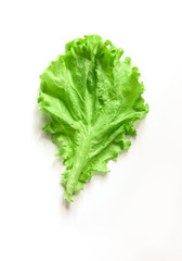Lettuce on a white background. Salad leaf. Lettuce isolated on white background.