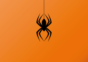 Halloween Spider
