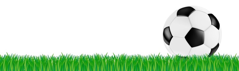 Naklejka premium soccer retro vector leather ball black white on green grass
