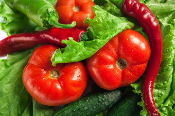 Fresh organic vegetables. Autumn vegetables. Harvesting. Ingredients for the salad. Lettuce, tomatoes, cucumbers, zucchini, eggplant, peppers, chillies.
