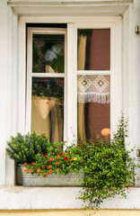 flowered rustic  window 