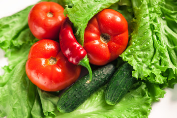 Fresh organic vegetables. Autumn vegetables. Harvesting. Ingredients for the salad. Lettuce, tomatoes, cucumbers, zucchini, eggplant, peppers, chillies.