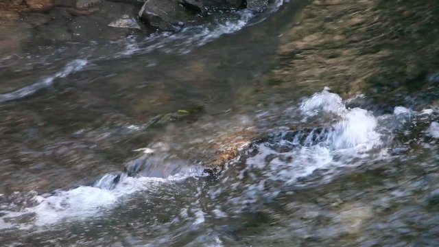 chute 