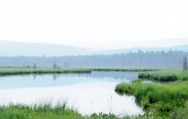 misty morning on the lake. early summer morning. drizzling rain. forest on the lake. photo toned.soft focus