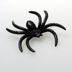 Halloween black spider