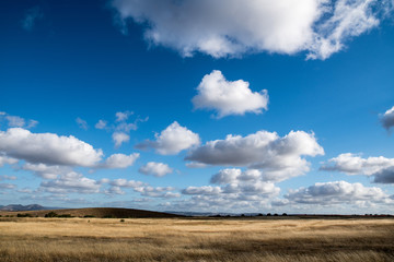 Field and sky