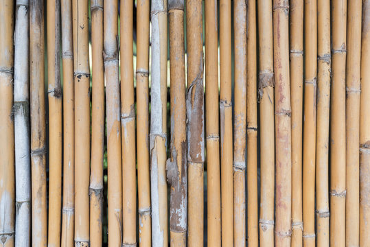 Bamboo fence,Somewhere in Asian.