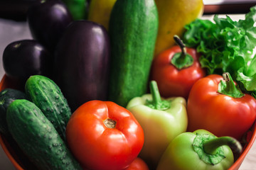 Fresh organic vegetables. Autumn vegetables. Harvesting. Ingredients for the salad. Lettuce, tomatoes, cucumbers, zucchini, eggplant, peppers, chillies.