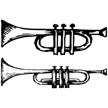 Trumpet, musical instrument. Vector illustration, doodle style