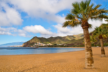 Fototapeta na wymiar Canary Islands, Tenerife. Beach las Teresitas with yellow sand.