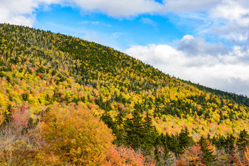 Fototapeta na wymiar White Mountains Foliage 