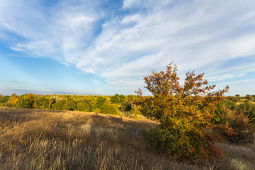 Fall landscape at sunset