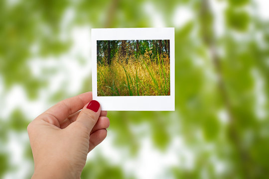 Girl Hand Holding Instant Photo Of nature Landscape, focus on ha