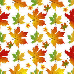 Autumn Set of Orange Maple Leaves vector.