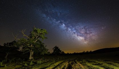 Milky Way